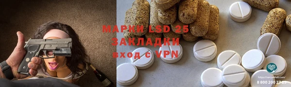 a pvp Ельня