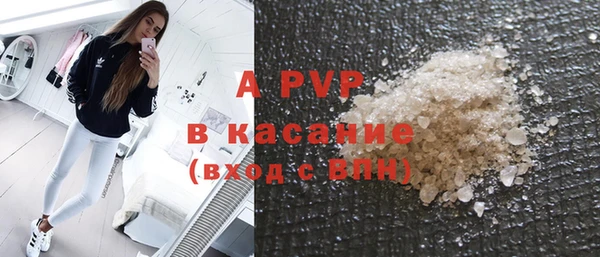 гашик Белокуриха