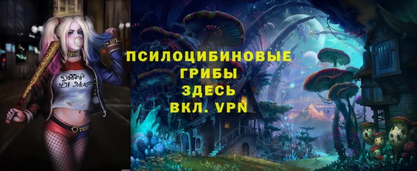прущие крисы Беломорск