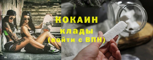 ПСИЛОЦИБИНОВЫЕ ГРИБЫ Елизово