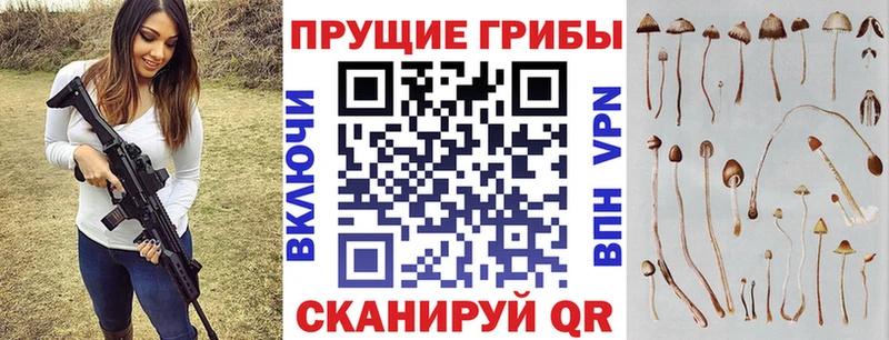 Галлюциногенные грибы Cubensis Кстово