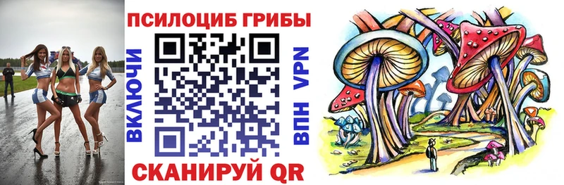 Псилоцибиновые грибы Cubensis  Кстово 